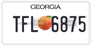 TFL6875  license plate in GA