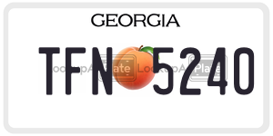 TFN5240 license plate in Georgia