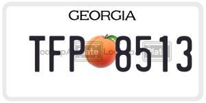 TFP8513 license plate in Georgia