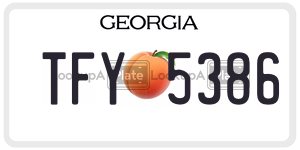 TFY5386 license plate in Georgia
