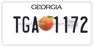 TGA1172  license plate in GA