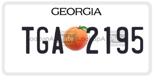 TGA2195  license plate in GA