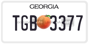 TGB3377 license plate in Georgia