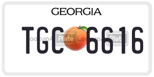 TGC6616  license plate in GA