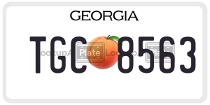 TGC8563  license plate in GA