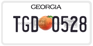 TGD0528  license plate in GA