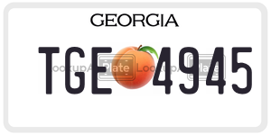 TGE4945  license plate in GA