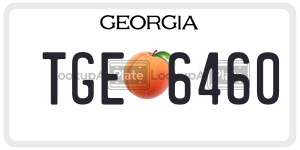 TGE6460 license plate in Georgia