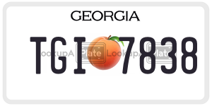 TGI7838  license plate in GA
