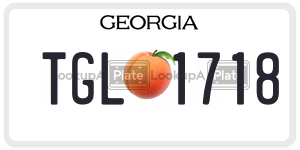 TGL1718  license plate in GA
