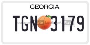 TGN3179 license plate in Georgia