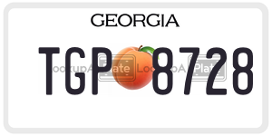 TGP8728  license plate in GA