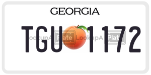 TGU1172 license plate in Georgia