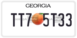 TT75T33  license plate in GA
