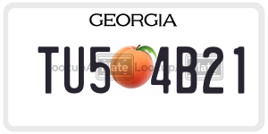 TU54B21  license plate in GA