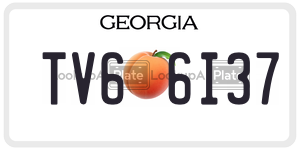TV66I37 license plate in Georgia