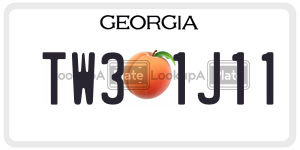 TW31J11 license plate in Georgia
