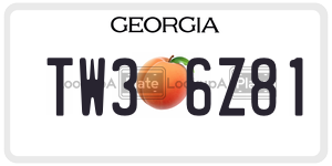 TW36Z81  license plate in GA