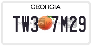 TW37M29 license plate in Georgia