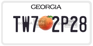 TW72P28 license plate in Georgia