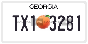 TX13281  license plate in GA