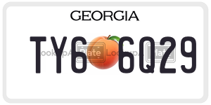 TY66Q29  license plate in GA