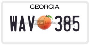 WAV385 license plate in Georgia
