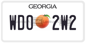 WD02W2 license plate in Georgia