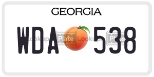 WDA538 license plate in Georgia