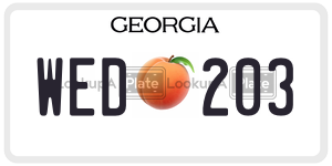 WED203 license plate in Georgia