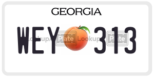 WEY313 license plate in Georgia