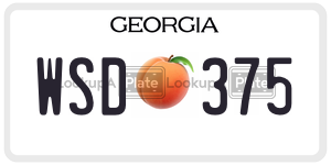 WSD375  license plate in GA
