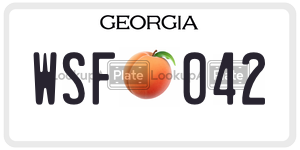 WSF042  license plate in GA