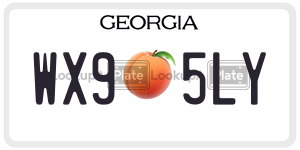 WX95LY license plate in Georgia