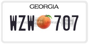 WZW707  license plate in GA