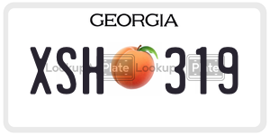 XSH319 license plate in Georgia