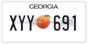 XYY691 license plate in Georgia
