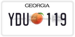 YDU119  license plate in GA
