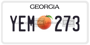 YEM273 license plate in Georgia