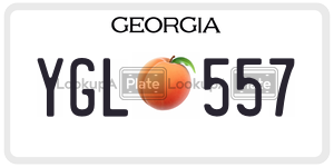 YGL557 license plate in Georgia