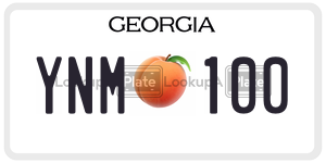 YNM100  license plate in GA