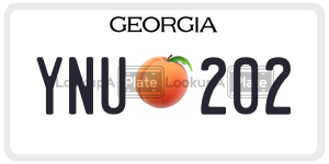 YNU202 license plate in Georgia