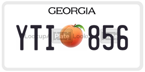 YTI856 license plate in Georgia