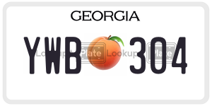 YWB304  license plate in GA