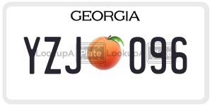 YZJ096 license plate in Georgia