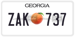ZAK737  license plate in GA