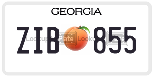 ZIB855 license plate in Georgia