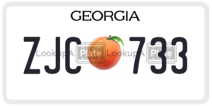 ZJC733  license plate in GA