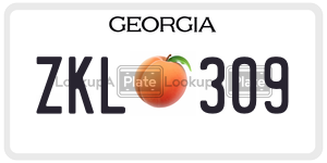 ZKL309  license plate in GA