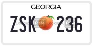 ZSK236  license plate in GA